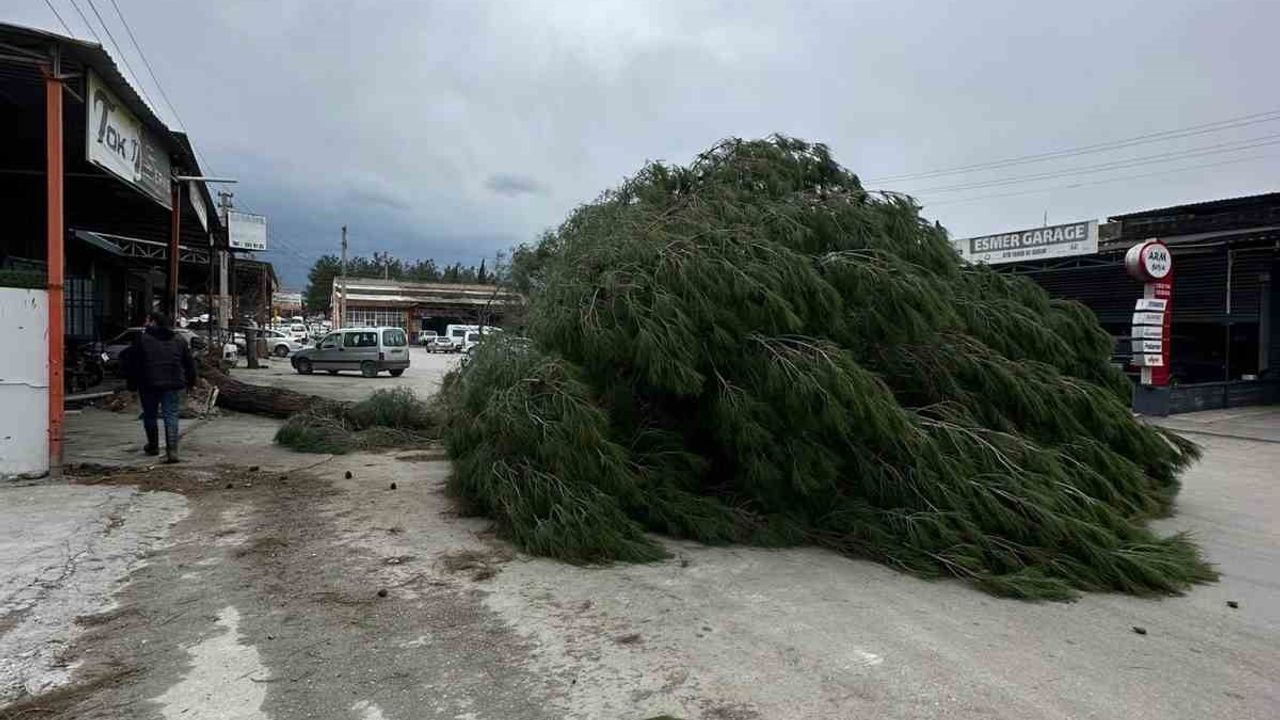 Denizli’de kuvvetli rüzgâr çatıları uçurdu, ağaçları devirdi