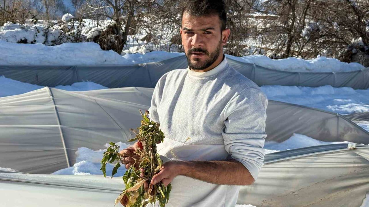 Derecik'te yoğun kar 38 serayı kullanılmaz hale getirdi