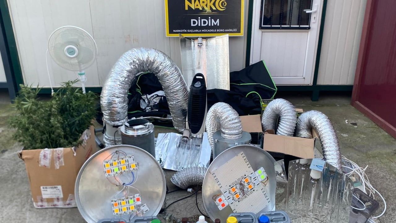 Didim’de kenevir yetiştirme kabini ele geçirildi