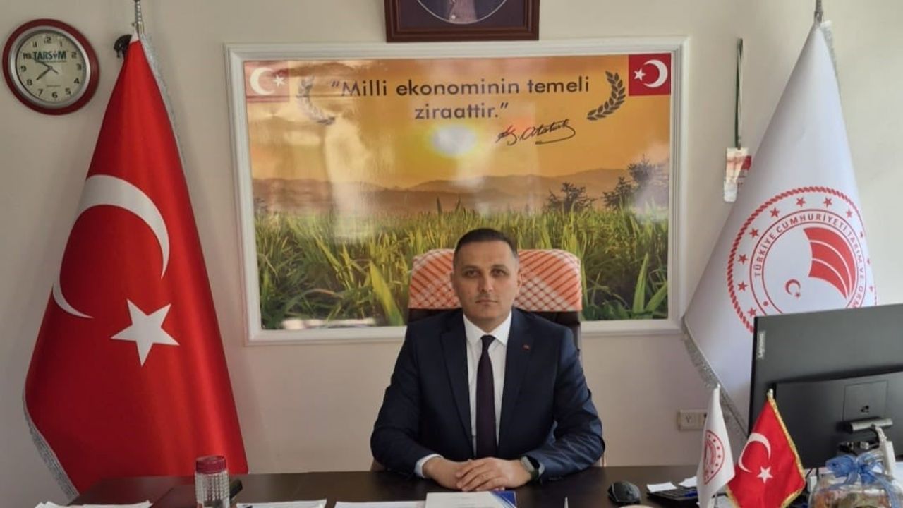 Dinar'da çiftçilere yüzde 50 hibeli çerezlik ayçiçeği tohumu