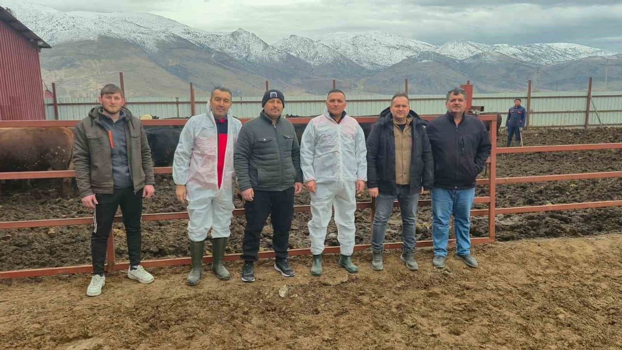 Dinar'da ithal hayvan besiciliği işletmelerine denetim