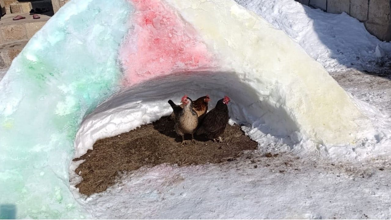 Diyadin'de Kardan Barınaklarla Sokak Hayvanlarına Destek