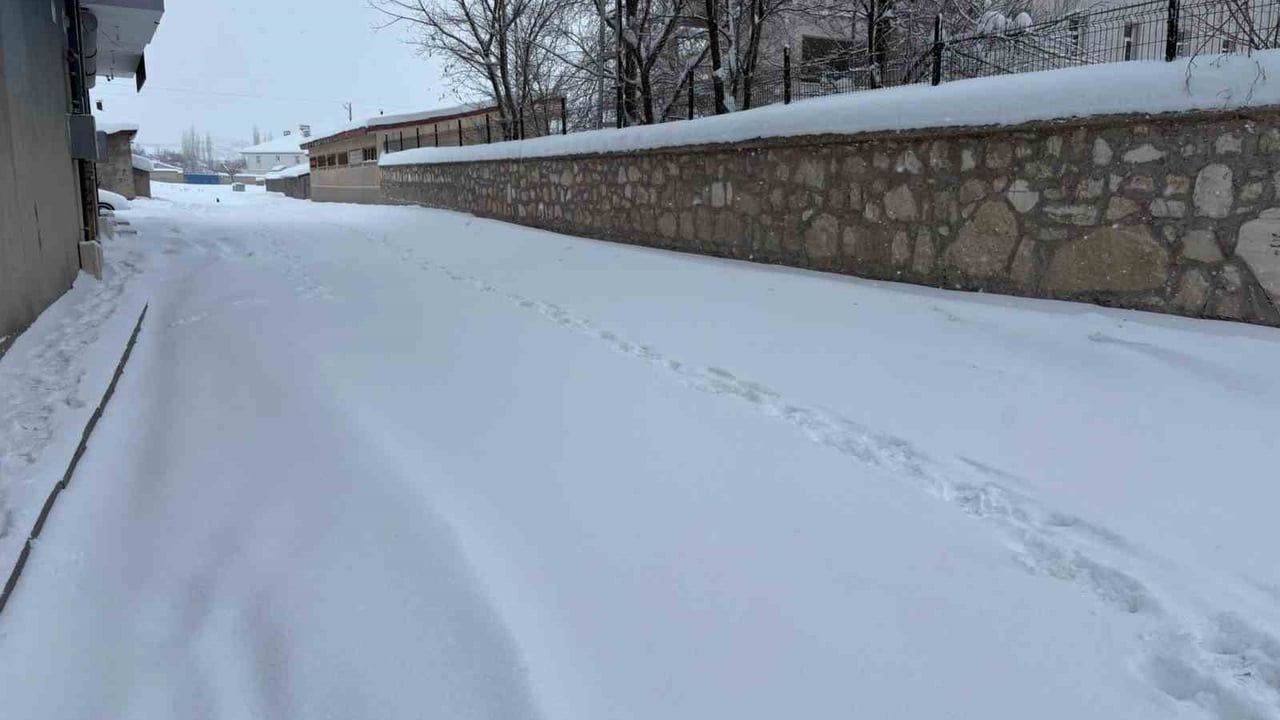 Diyadin'de yoğun kar yağışı ulaşımı zorluyor