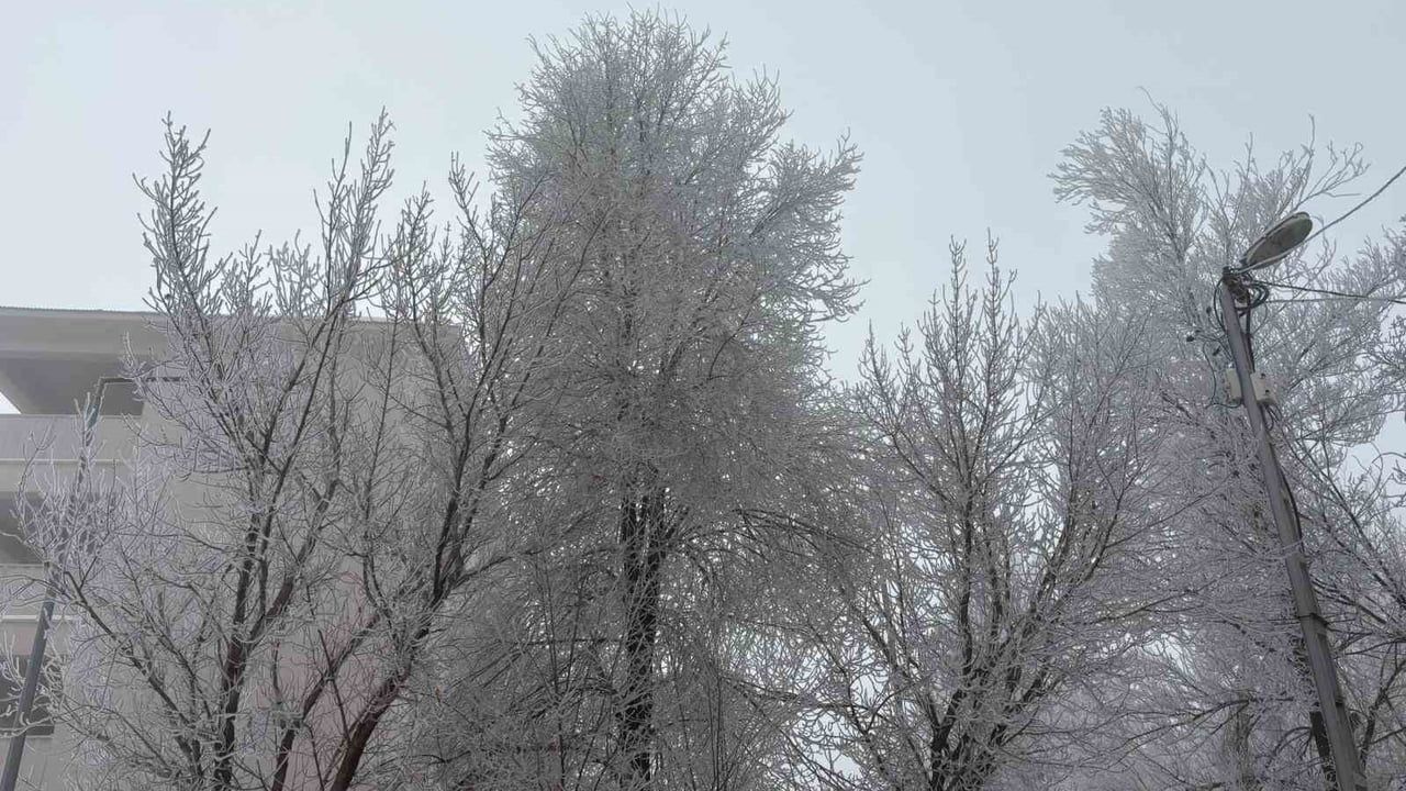 Diyadin'de yoğun sis ulaşımı olumsuz etkiledi