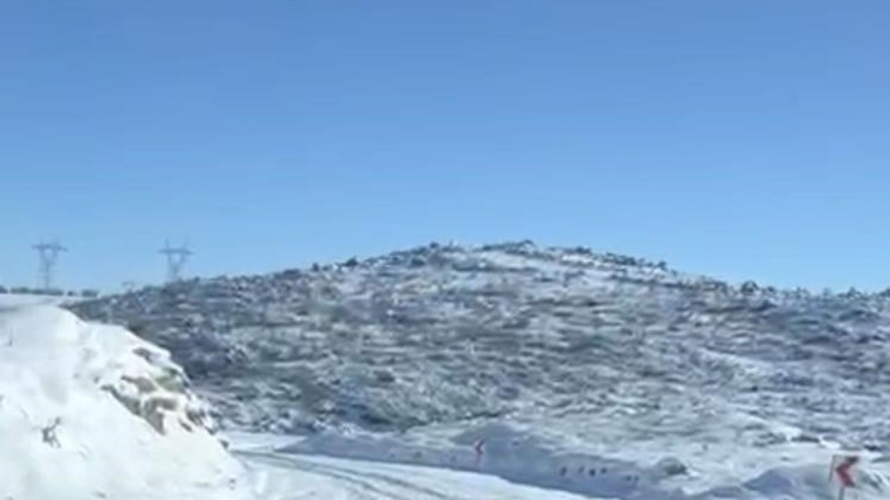 Diyarbakır'da aç kalan kurt ve domuz sürüleri yerleşimlere indi