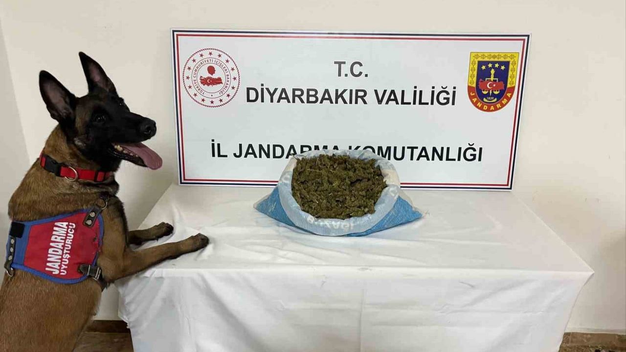 Diyarbakır'da jandarma operasyonunda 41 kilo esrar yakalandı