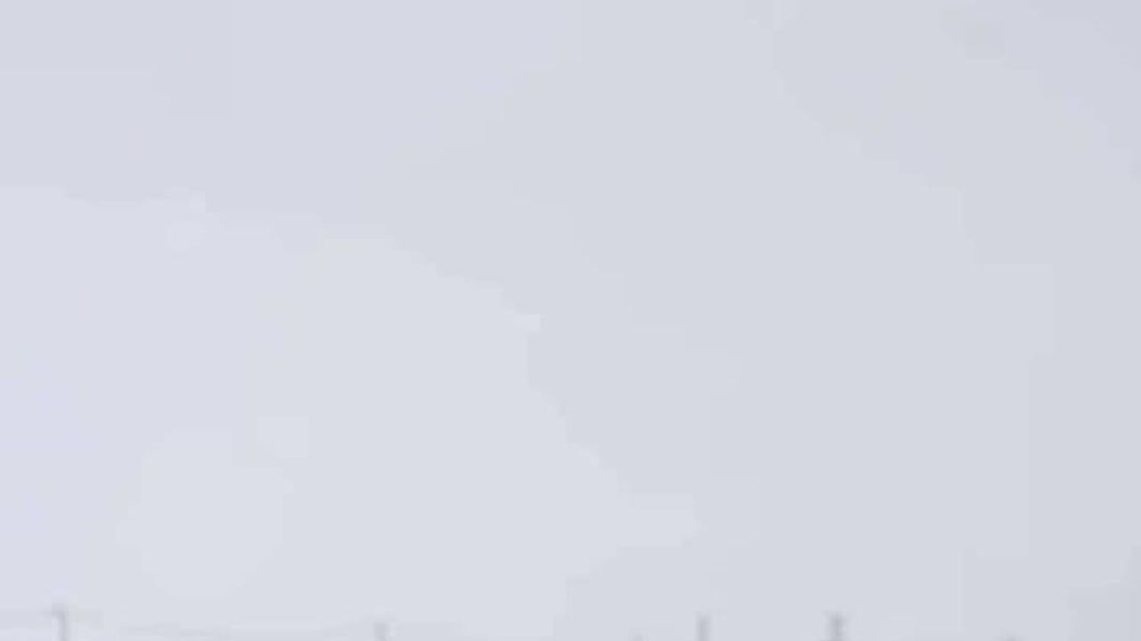 Diyarbakır'da kar sonrası kurt sürüsü yerleşimlere indi