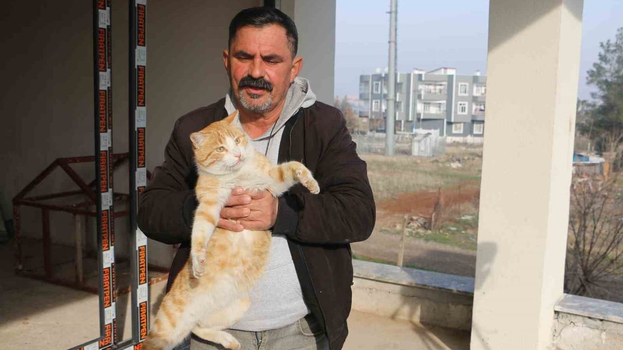 Diyarbakır’da Sokak Hayvanlarının Sessiz Kahramanı Muhammet Bahattin Doğru