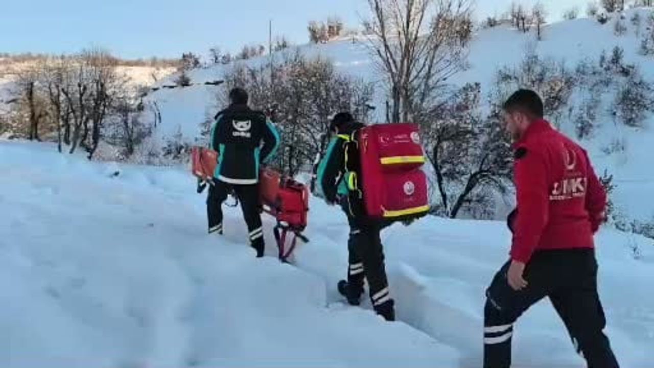 Diyarbakır'da UMKE ve jandarma 1,5 kilometrelik karlı yolu yürüyerek hastaya ulaştı