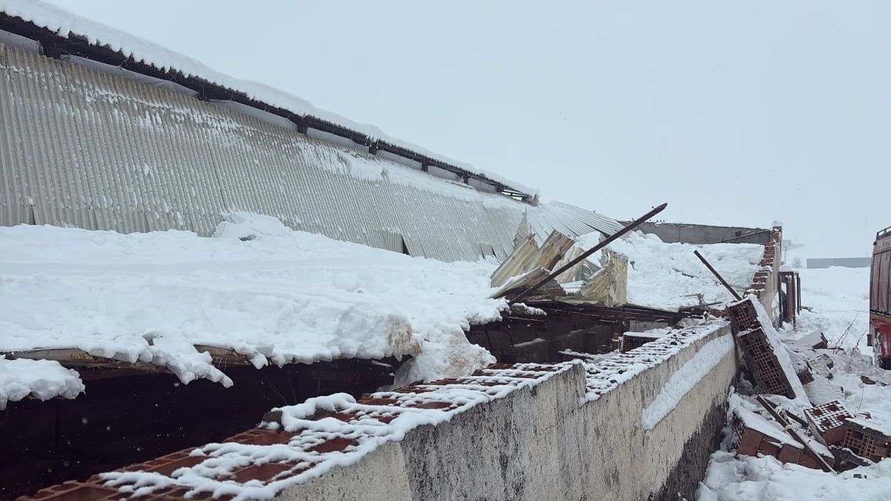 Diyarbakır Sur'da ahır çatısı çöktü: 11 büyükbaş telef oldu