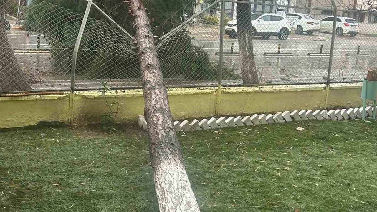 Dursunbey'de öğle fırtınası ağaç ve çatıları yerinden söktü