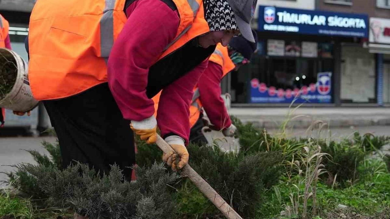 Düzce Belediyesi, park ve yeşil alanlarda peyzaj çalışmalarını sürdürüyor