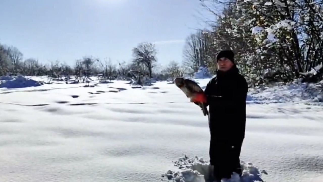 Düzce'de 211 yaban hayvanı doğaya geri bırakıldı