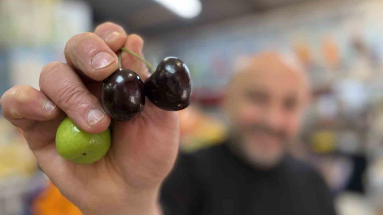 Düzce’de aşerenler için Singapur’dan getirilen yaz meyveleri tezgâhı