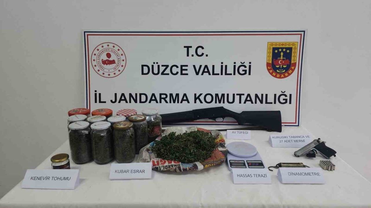 Düzce'de jandarma operasyonu: Çatıda kenevir bahçesi kuran şüpheli yakalandı
