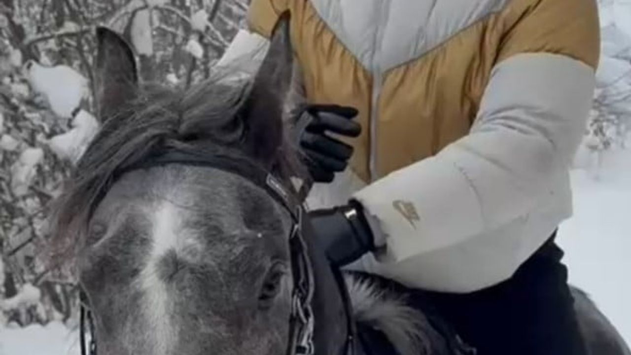 Düzce'de Muaythai antrenörü Muhammed Bişgin'den kar üstünde at şovu