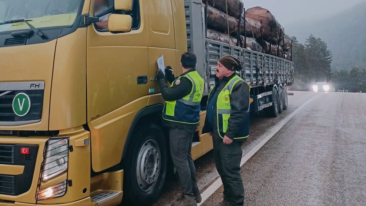 Düzce'de Orman Denetimleri Sürüyor