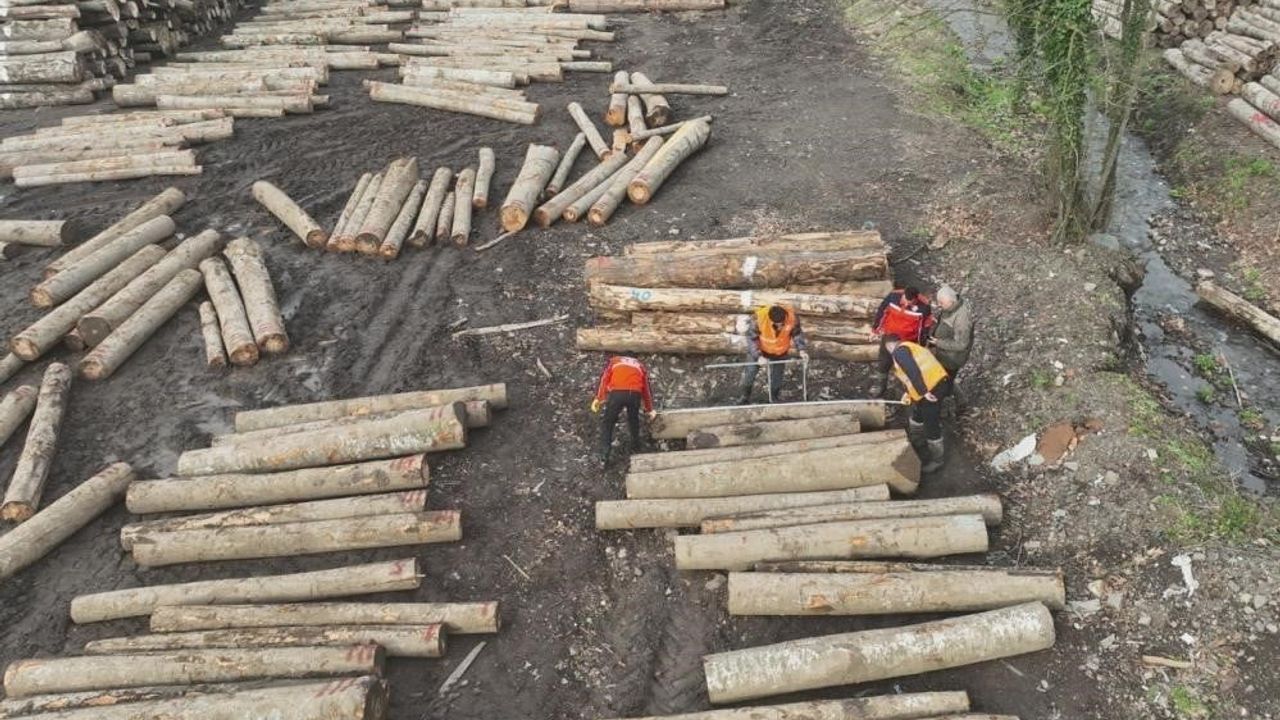 Düzce’den 23 bin 391,39 ton orman ürünü ihracı yükseldi