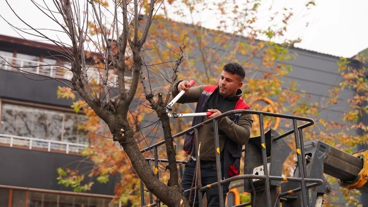 Düzce’nin Park ve Bahçelerinde 2025’te Kapsamlı Bakım ve Yenileme