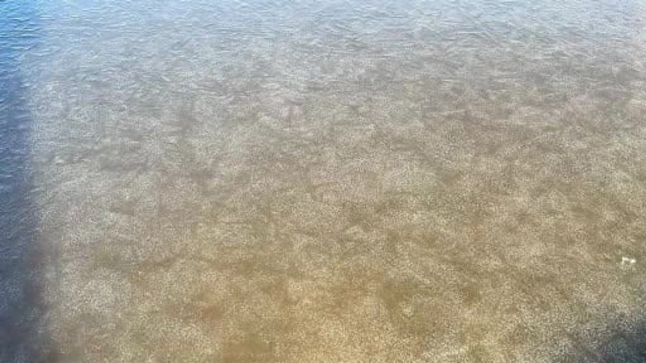 Eber Gölü'nde kısmi donma