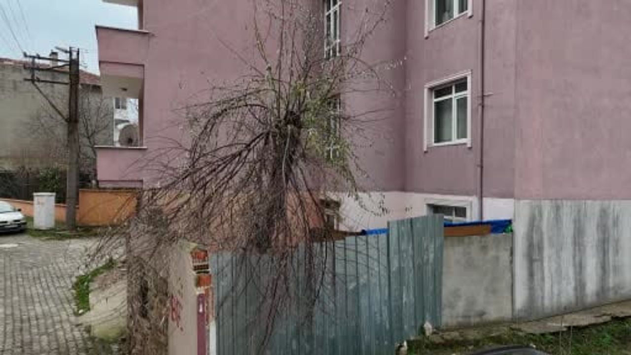Edirne'de 16’ncı yüzyıl kabri apartman bahçesinde kaldı