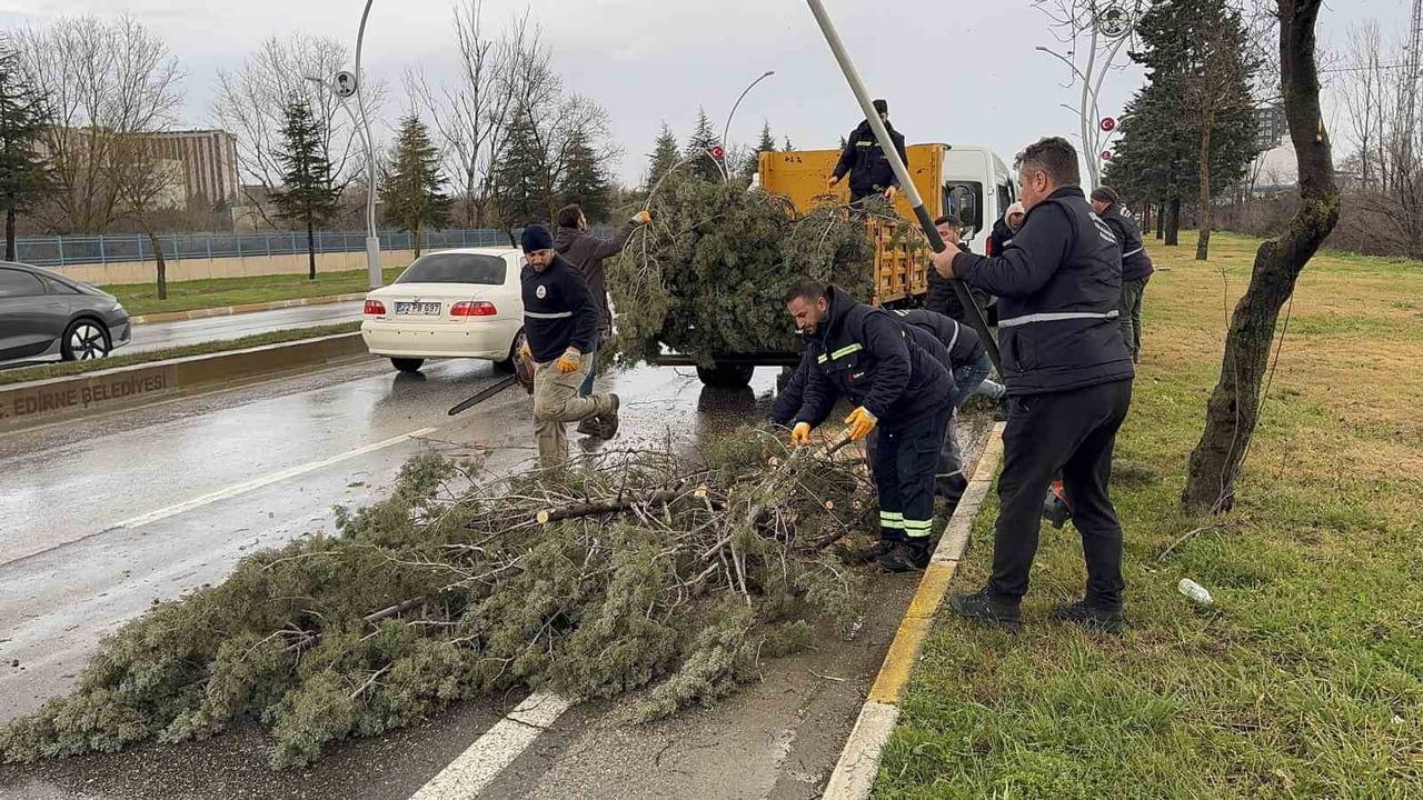 Edirne’de fırtına ağaçları devirdi