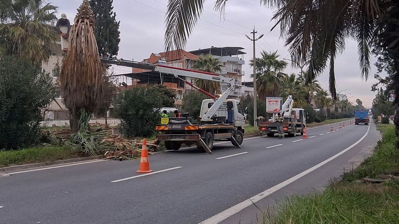 Efeler Belediyesi, Umurlu Karayolu Orta Refüjlerinde Budama Çalışması Yaptı
