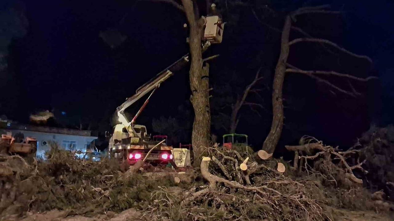 Efeler'de fırtına çam ağacını devirmeye başladı, zamanında müdahale faciayı önledi