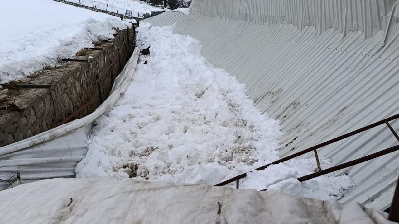 Elazığ'da ahır tavanı çöktü: 1 büyükbaş hayvan telef oldu