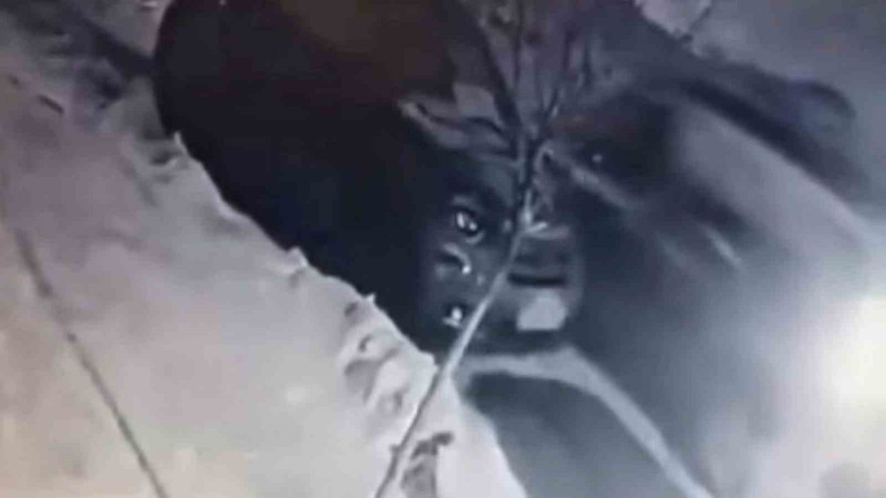 Elazığ’da buzlanan yolda kayan hafif ticari araç park halindeki araca çarptı