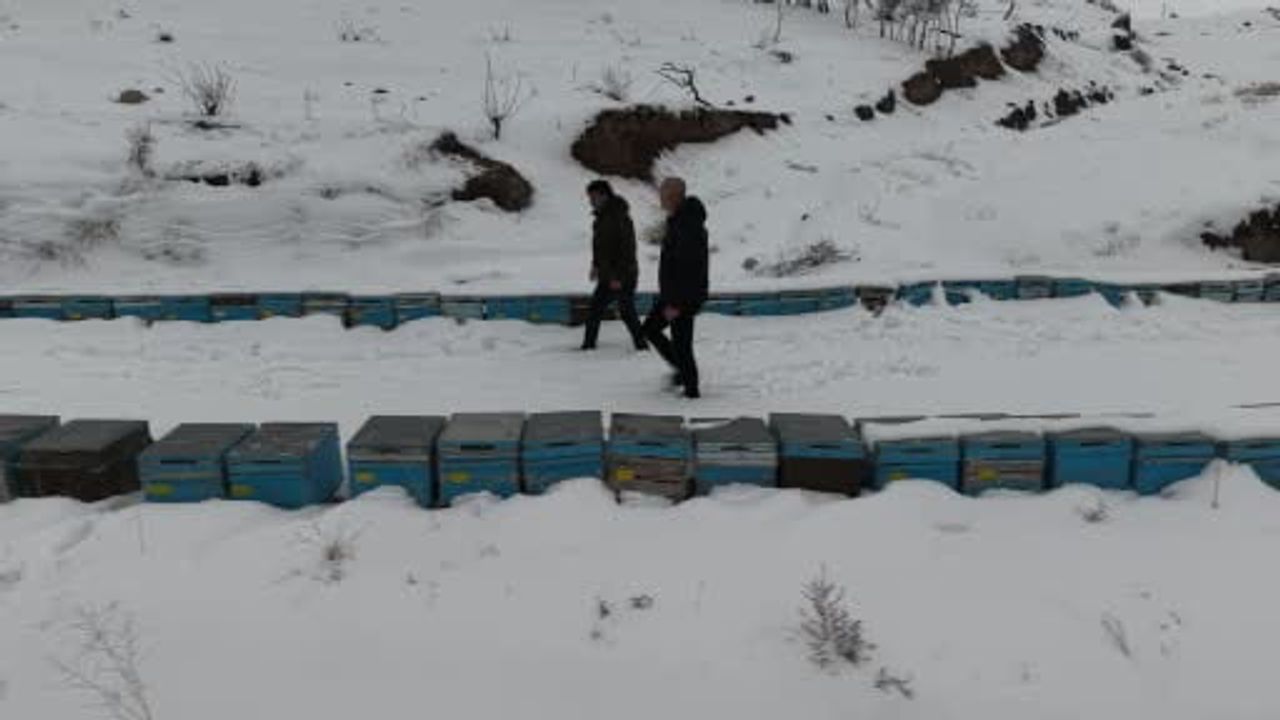 Elazığ'da kar, arı kolonelerini korudu — Arıcılar sezondan ümitli
