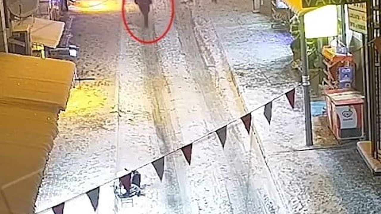 Elazığ’da restorana silahlı saldırı: Tutuklu sayısı 6’ya yükseldi