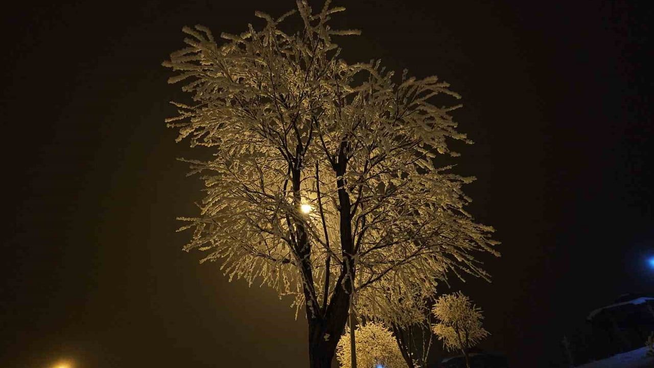 Elazığ'da sis ve dona bağlı kırağı örtüsü