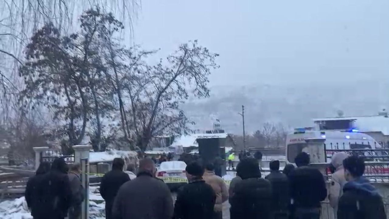 Elazığ'da trenin çarptığı engelli kişi hayatını kaybetti