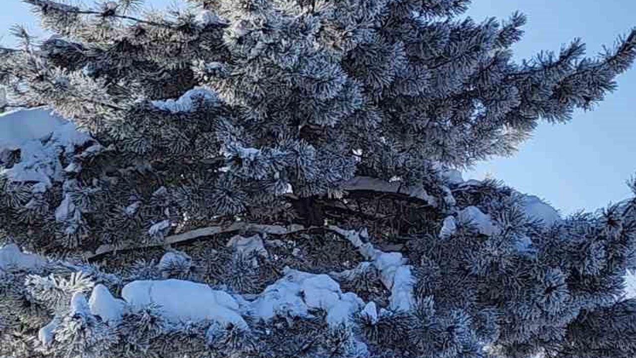 Elazığ Karakoçan'da termometreler -22'yi gösterdi