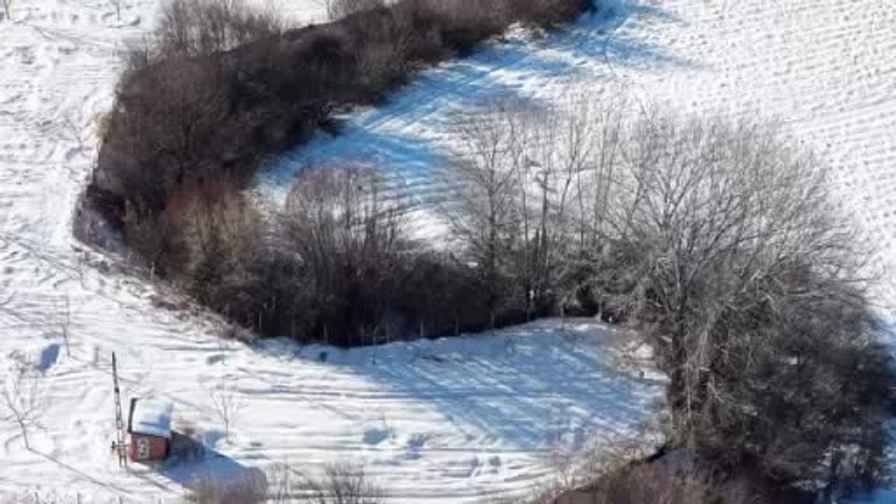 Elazığ Selli'de kar üstünde domuz sürüsü dronla görüntülendi