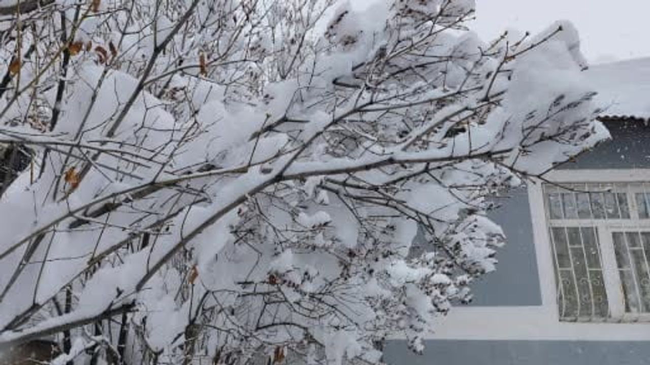 Erciş'te yoğun kar yağışı hayatı felç etti