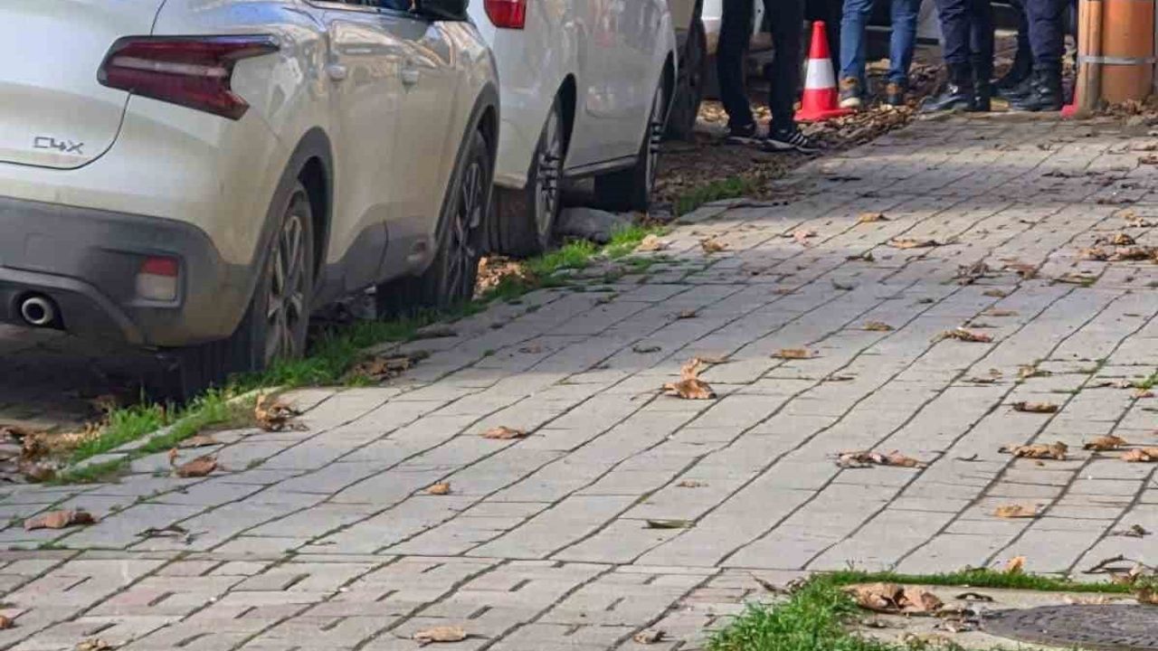 Erdek'te kaybolan Elif Kumal için 5. günde de süren arama çalışmaları