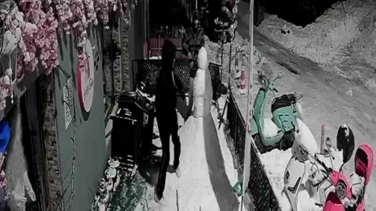 Ereğli'de kardan adama gece saldırısı: esnafın emeği parçalandı