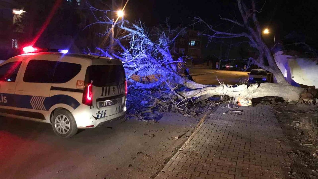 Ereğli'de şiddetli rüzgar çatıları ve ağaçları devirdi