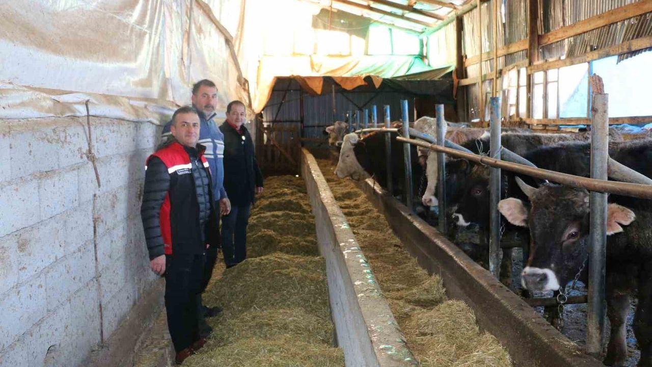 Erzincan'da orta ölçekli aile hayvancılık işletmeleri yerinde incelendi