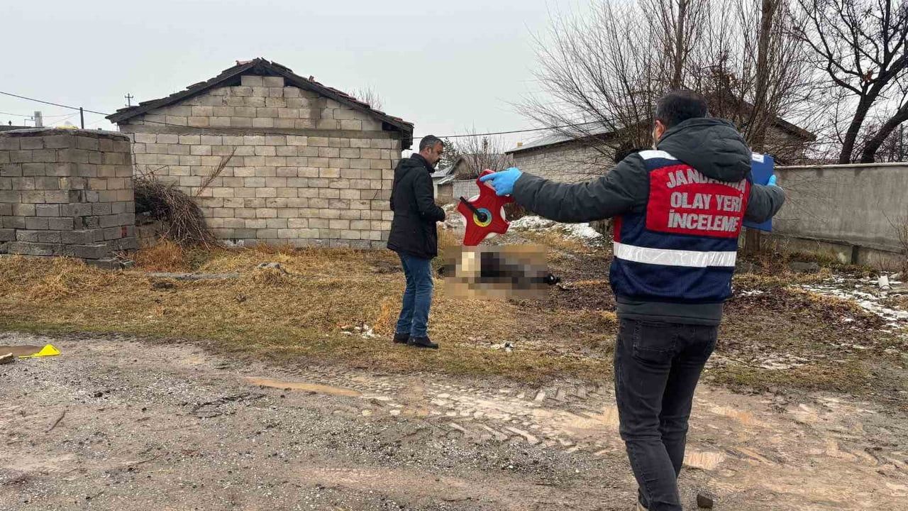 Erzincan Güllüce'de at ve eşek tüfekle öldürüldü