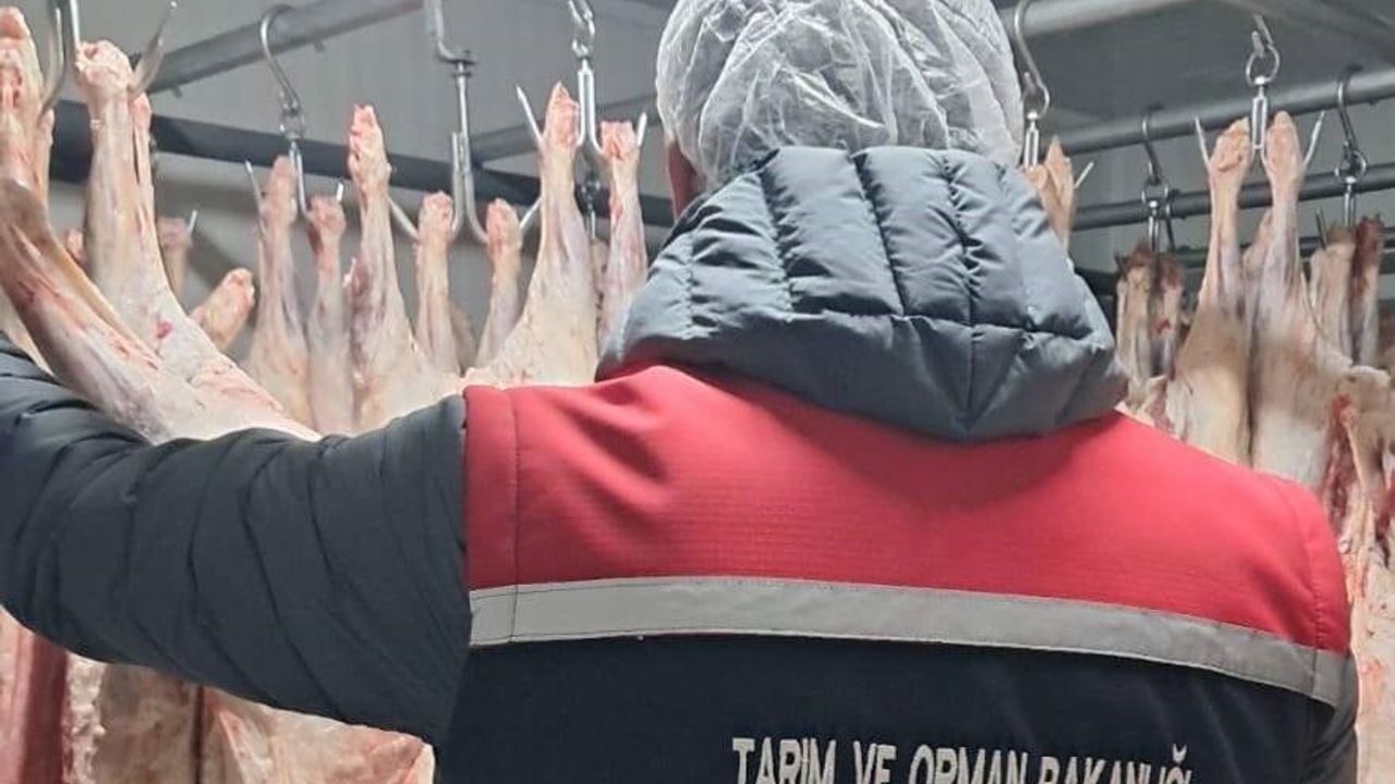 Erzurum'da Gıda İşletmelerine Yönelik 201 Denetim Yapıldı