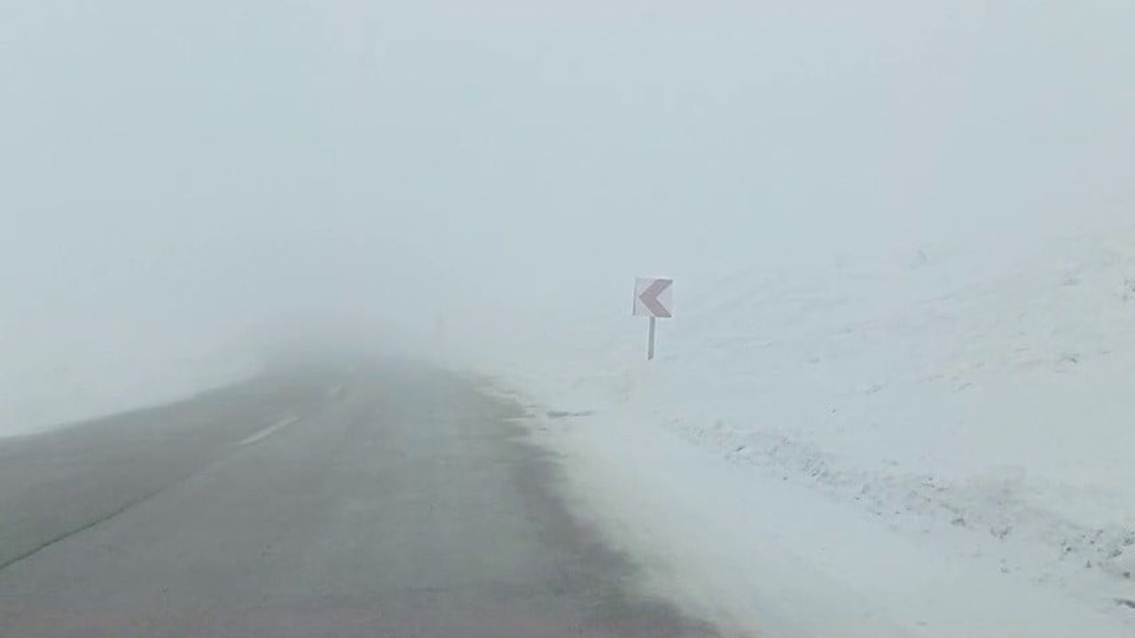 Erzurum Palandöken Geçidi'nde Yoğun Sis Sürücülere Zor Anlar Yaşatıyor