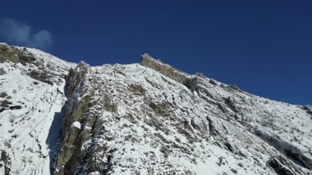 Erzurum Uzundere'de Sakallı Akbaba Drone ile Kaydedildi