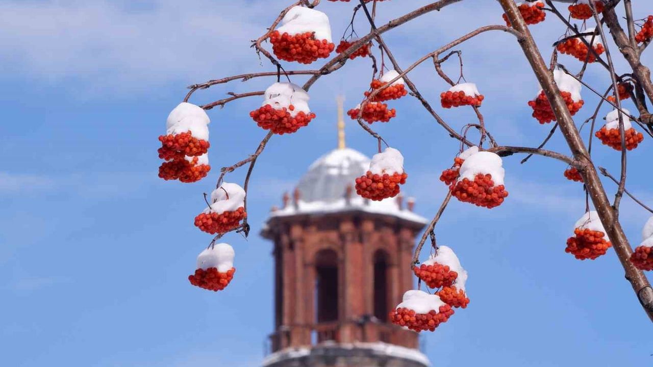 Erzurum ve Çevresi İçin Buzlanma, Don ve Çığ Uyarısı