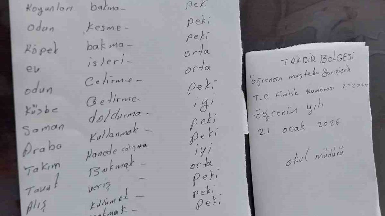 Eskişehir'de dede, torunlarına teşvik için el yapımı takdirname hazırladı