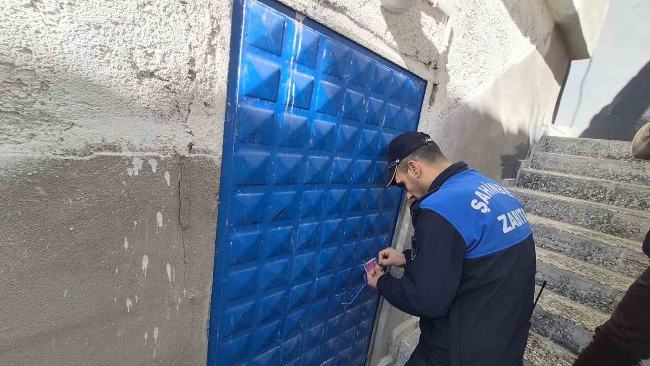 Gaziantep'te 600 kilogram cips ele geçirildi