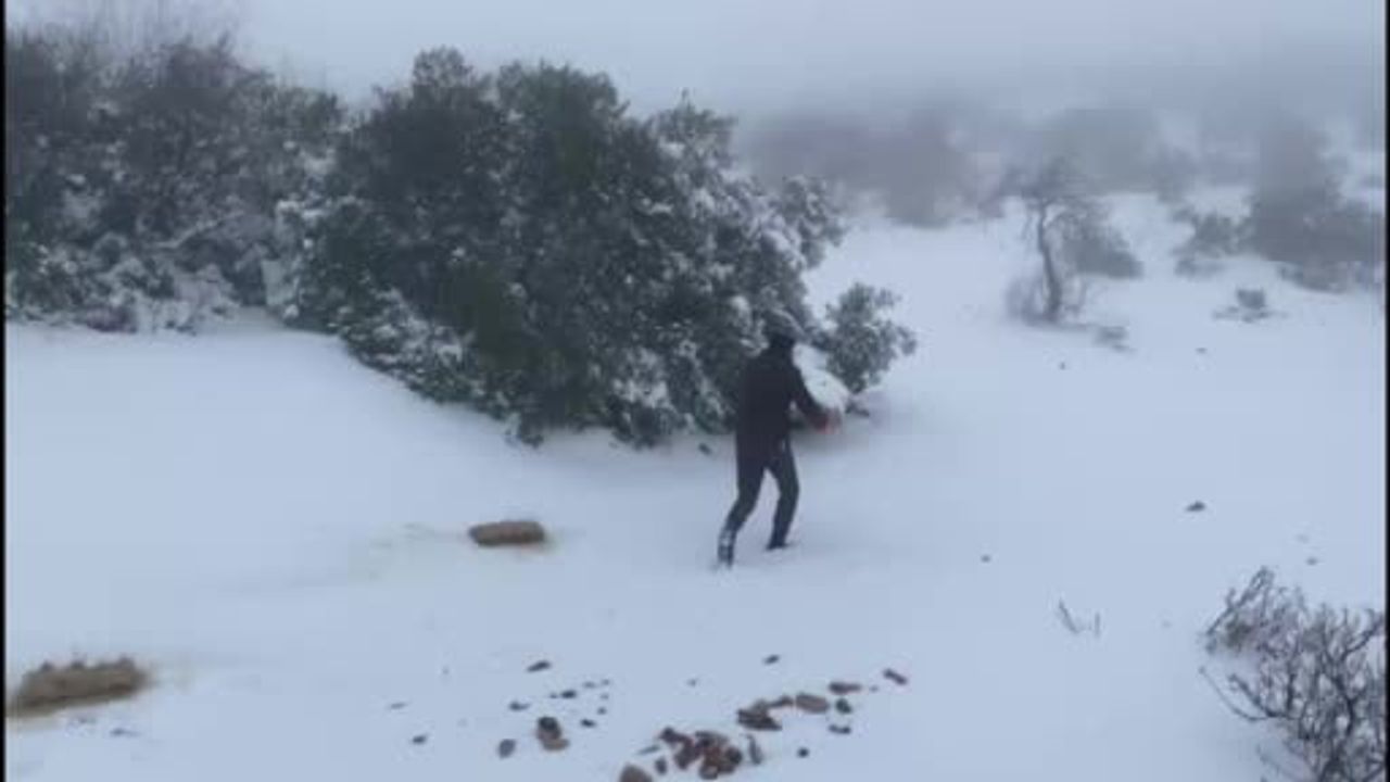 Gaziantep’te karlı havada yaban hayvanlarına yem desteği