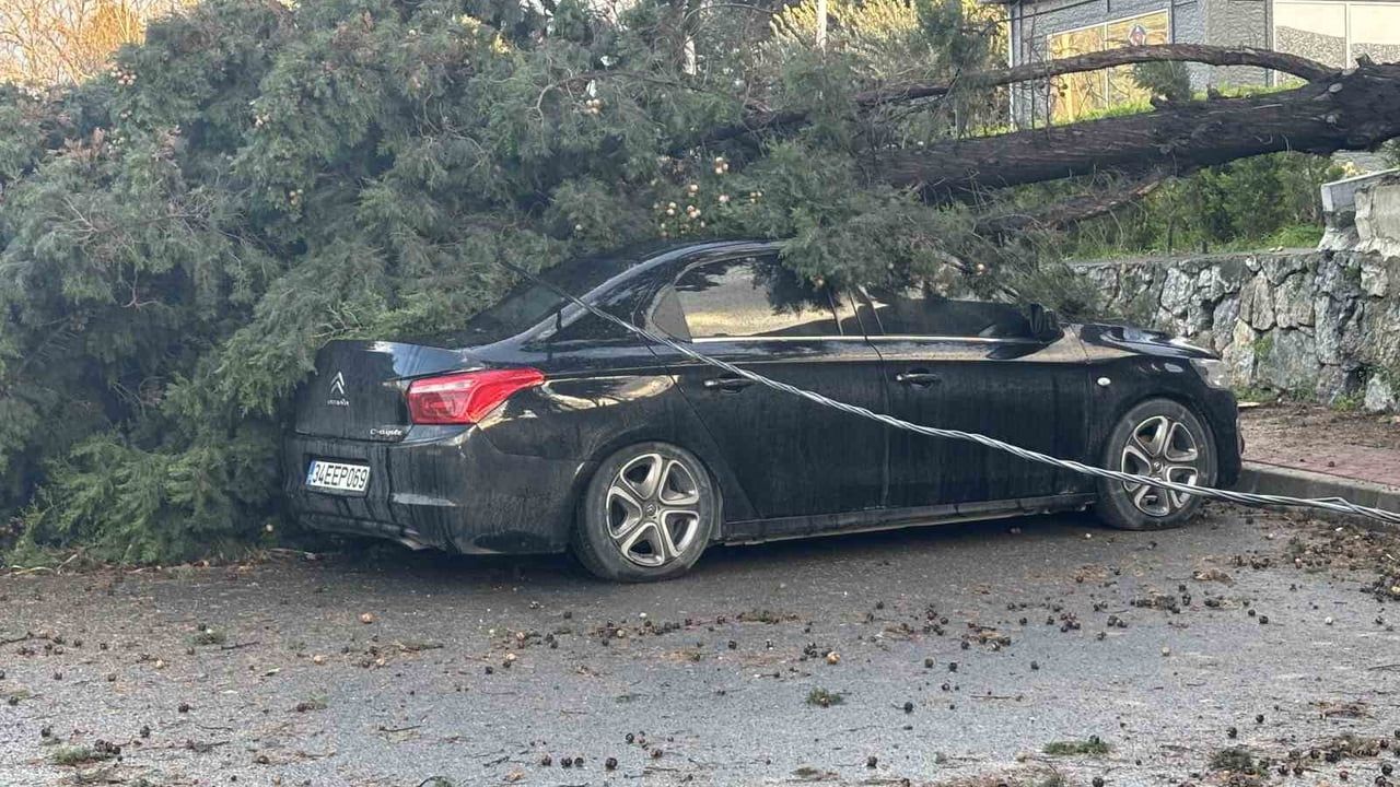 Gebze'de fırtına: Eskihisar Caddesi'nde ağaç iki otomobilin üzerine devrildi